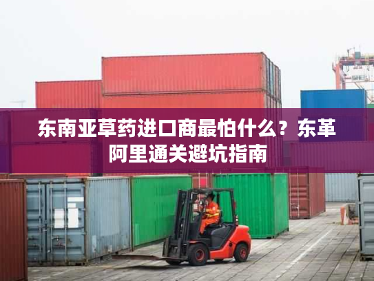 东南亚草药进口商最怕什么?东革阿里通关避坑指南 东南亚草药进口商最怕什么?东革阿里通关避坑指南