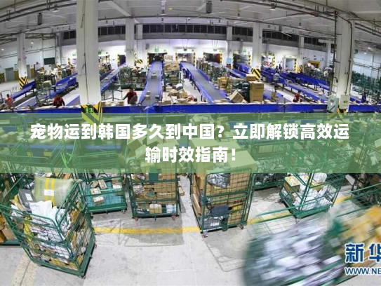 宠物运到韩国多久到中国?立即解锁高效运输时效指南! 宠物运到韩国多久到中国?立即解锁高效运输时效指南!