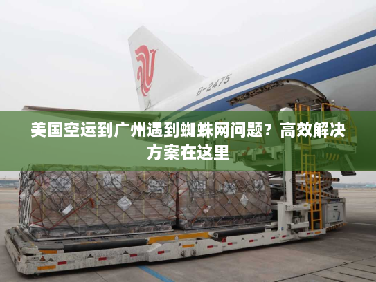 美国空运到广州遇到蜘蛛网问题?高效解决方案在这里 美国空运到广州遇到蜘蛛网问题?高效解决方案在这里
