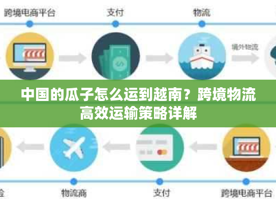 中国的瓜子怎么运到越南？跨境物流高效运输策略详解