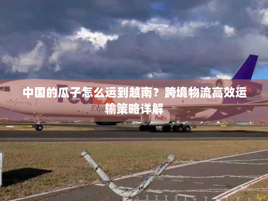 中国的瓜子怎么运到越南？跨境物流高效运输策略详解