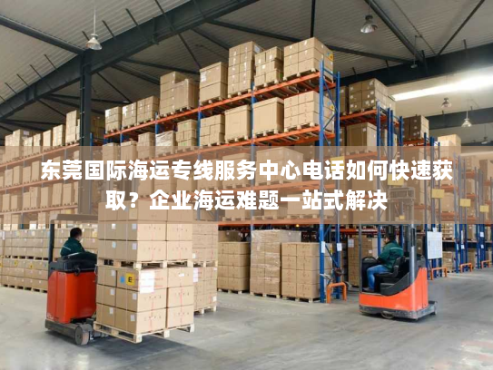 东莞国际海运专线服务中心电话如何快速获取？企业海运难题一站式解决