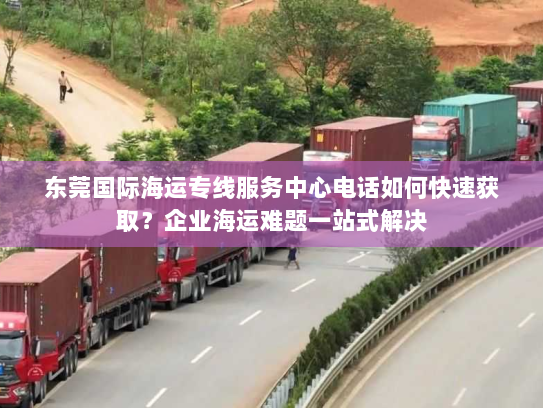东莞国际海运专线服务中心电话如何快速获取？企业海运难题一站式解决