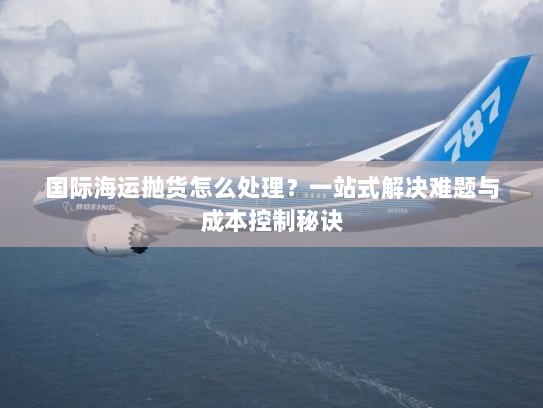 国际海运抛货怎么处理?一站式解决难题与成本控制秘诀 国际海运抛货怎么处理?一站式解决难题与成本控制秘诀