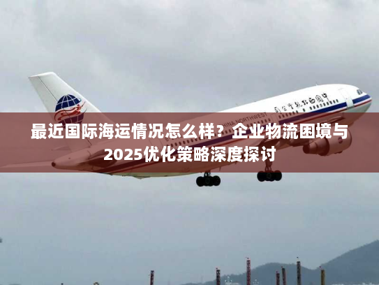 最近国际海运情况怎么样？企业物流困境与2025优化策略深度探讨