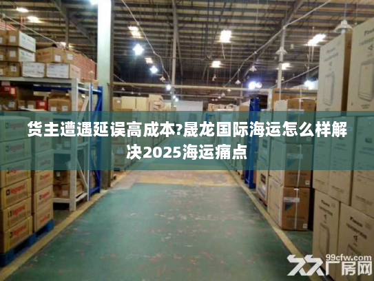 货主遭遇延误高成本?晟龙国际海运怎么样解决2025海运痛点 货主遭遇延误高成本?晟龙国际海运怎么样解决2025海运痛点