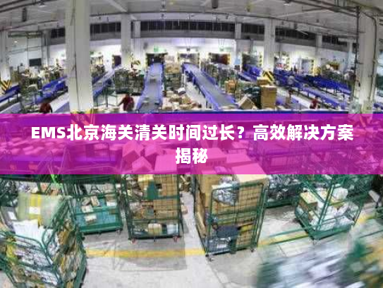 EMS北京海关清关时间过长？高效解决方案揭秘