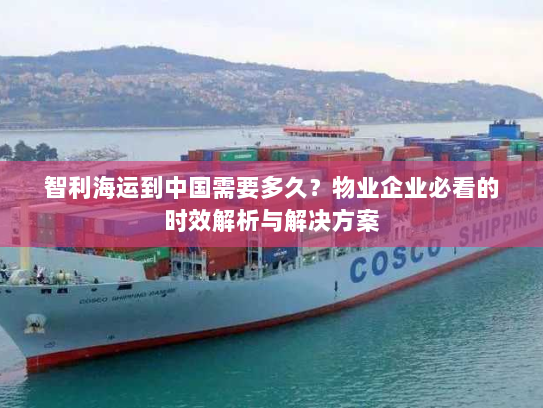 智利海运到中国需要多久?物业企业必看的时效解析与解决方案 智利海运到中国需要多久?物业企业必看的时效解析与解决方案