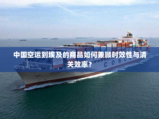 中国空运到埃及的商品如何兼顾时效性与清关效率? 中国空运到埃及的商品如何兼顾时效性与清关效率?