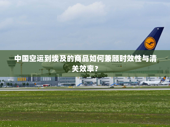 中国空运到埃及的商品如何兼顾时效性与清关效率? 中国空运到埃及的商品如何兼顾时效性与清关效率?