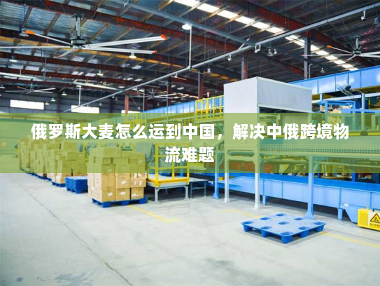 俄罗斯大麦怎么运到中国,解决中俄跨境物流难题 俄罗斯大麦怎么运到中国,解决中俄跨境物流难题