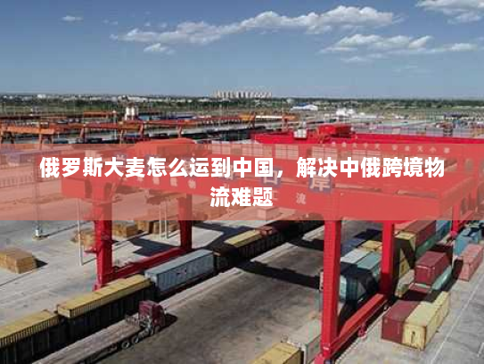 俄罗斯大麦怎么运到中国,解决中俄跨境物流难题 俄罗斯大麦怎么运到中国,解决中俄跨境物流难题