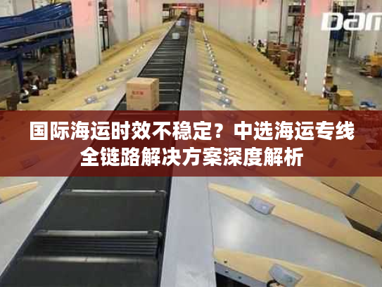 国际海运时效不稳定？中选海运专线全链路解决方案深度解析