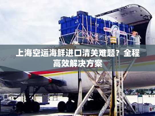 上海空运海鲜进口清关难题？全程高效解决方案
