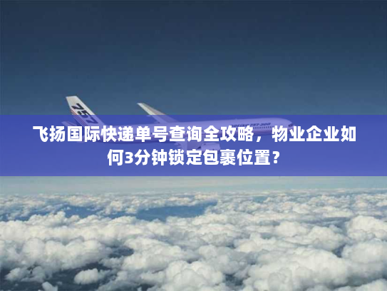 飞扬国际快递单号查询全攻略，物业企业如何3分钟锁定包裹位置？