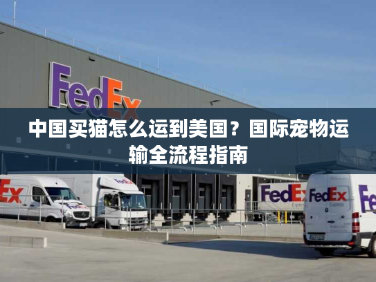 中国买猫怎么运到美国？国际宠物运输全流程指南