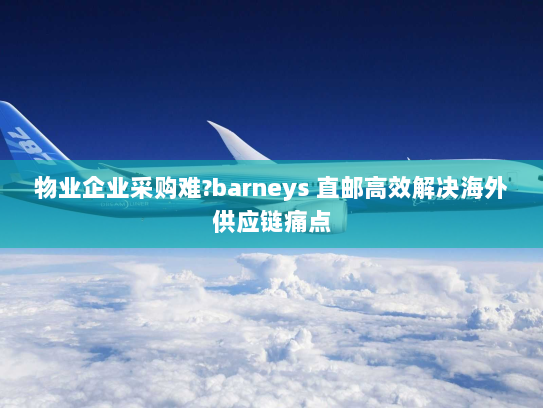 物业企业采购难?barneys 直邮高效解决海外供应链痛点 物业企业采购难?barneys 直邮高效解决海外供应链痛点
