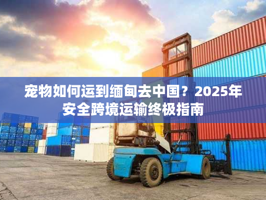 宠物如何运到缅甸去中国?2025年安全跨境运输终极指南 宠物如何运到缅甸去中国?2025年安全跨境运输终极指南