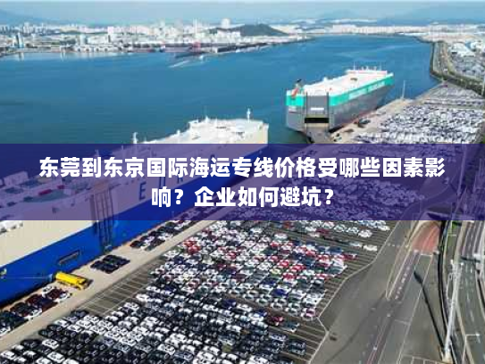 东莞到东京国际海运专线价格受哪些因素影响?企业如何避坑? 东莞到东京国际海运专线价格受哪些因素影响?企业如何避坑?