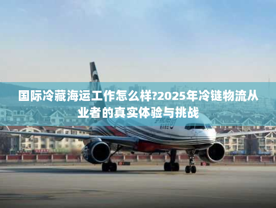 国际冷藏海运工作怎么样?2025年冷链物流从业者的真实体验与挑战