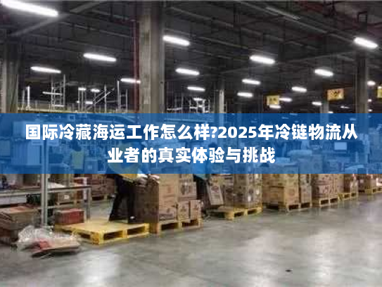 国际冷藏海运工作怎么样?2025年冷链物流从业者的真实体验与挑战