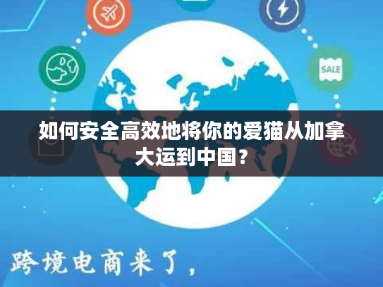 如何安全高效地将你的爱猫从加拿大运到中国？