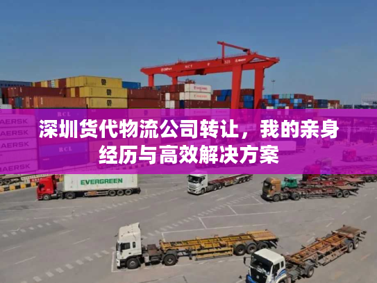 深圳货代物流公司转让,我的亲身经历与高效解决方案 深圳货代物流公司转让,我的亲身经历与高效解决方案