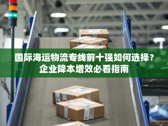 国际海运物流专线前十强如何选择？企业降本增效必看指南