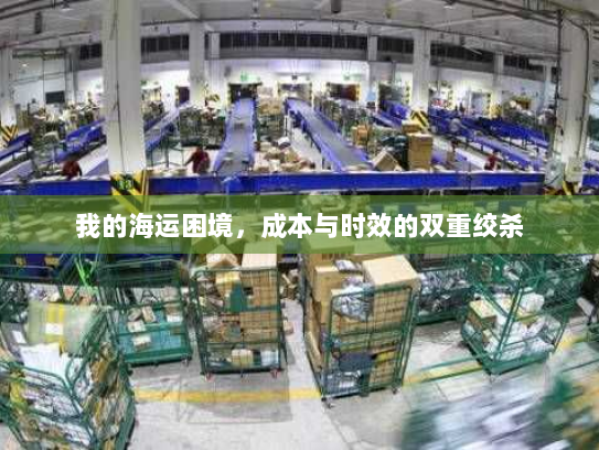我的海运困境，成本与时效的双重绞杀