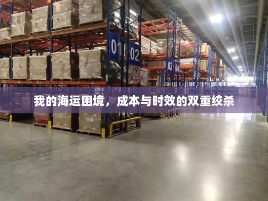 我的海运困境，成本与时效的双重绞杀