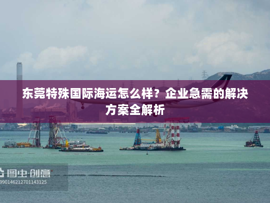 东莞特殊国际海运怎么样？企业急需的解决方案全解析