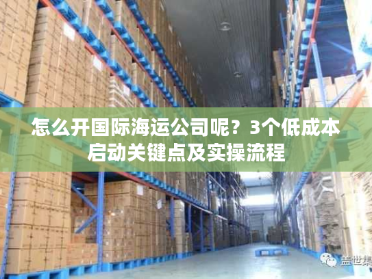 怎么开国际海运公司呢？3个低成本启动关键点及实操流程