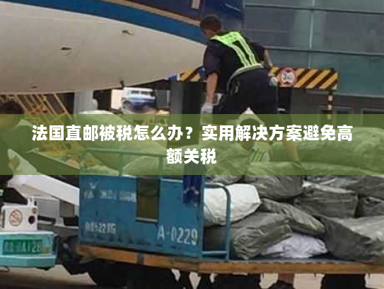 法国直邮被税怎么办?实用解决方案避免高额关税 法国直邮被税怎么办?实用解决方案避免高额关税