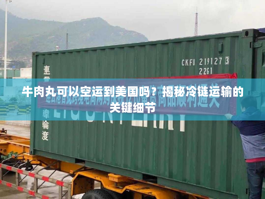 牛肉丸可以空运到美国吗?揭秘冷链运输的关键细节 牛肉丸可以空运到美国吗?揭秘冷链运输的关键细节