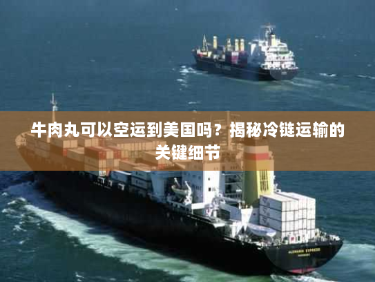 牛肉丸可以空运到美国吗?揭秘冷链运输的关键细节 牛肉丸可以空运到美国吗?揭秘冷链运输的关键细节