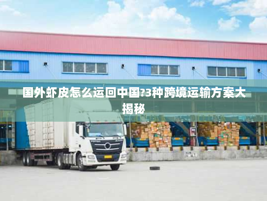 国外虾皮怎么运回中国?3种跨境运输方案大揭秘 国外虾皮怎么运回中国?3种跨境运输方案大揭秘