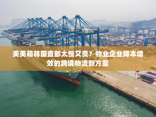 美美箱韩国直邮太慢又贵?物业企业降本增效的跨境物流新方案 美美箱韩国直邮太慢又贵?物业企业降本增效的跨境物流新方案