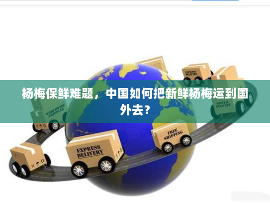 杨梅保鲜难题,中国如何把新鲜杨梅运到国外去? 杨梅保鲜难题,中国如何把新鲜杨梅运到国外去?