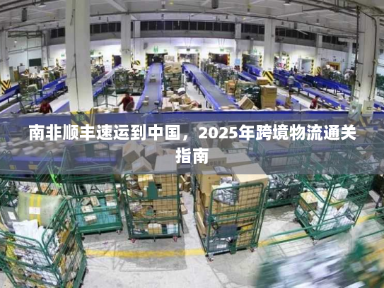 南非顺丰速运到中国，2025年跨境物流通关指南