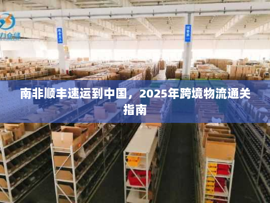 南非顺丰速运到中国，2025年跨境物流通关指南