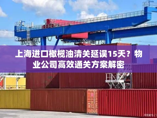 上海进口橄榄油清关延误15天?物业公司高效通关方案解密 上海进口橄榄油清关延误15天?物业公司高效通关方案解密