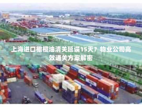 上海进口橄榄油清关延误15天？物业公司高效通关方案解密