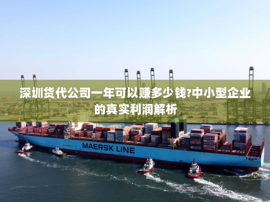 深圳货代公司一年可以赚多少钱?中小型企业的真实利润解析