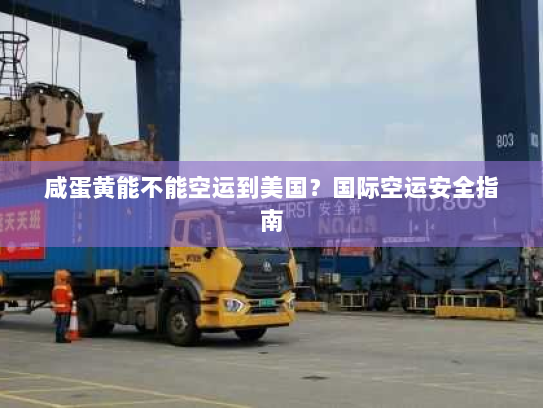 咸蛋黄能不能空运到美国?国际空运安全指南 咸蛋黄能不能空运到美国?国际空运安全指南