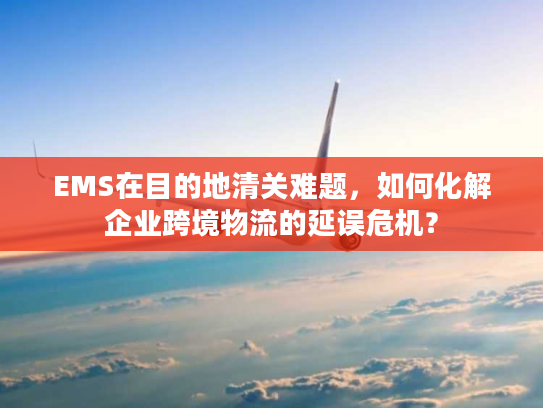 EMS在目的地清关难题，如何化解企业跨境物流的延误危机？