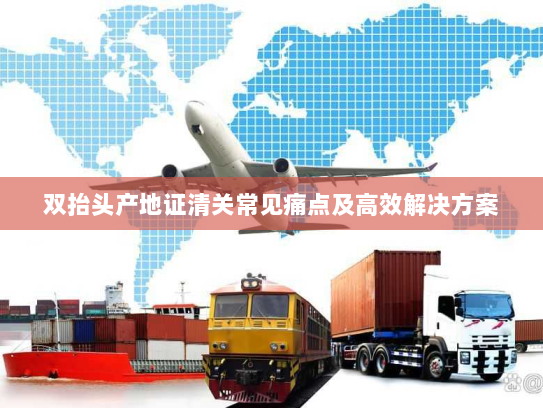 双抬头产地证清关常见痛点及高效解决方案