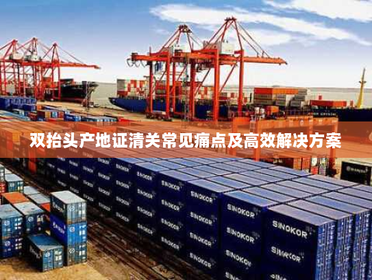 双抬头产地证清关常见痛点及高效解决方案