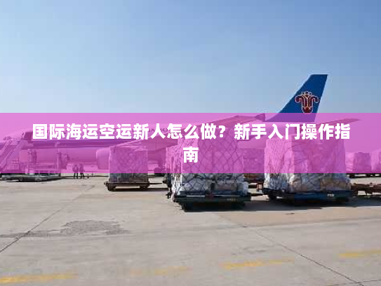国际海运空运新人怎么做?新手入门操作指南 国际海运空运新人怎么做?新手入门操作指南