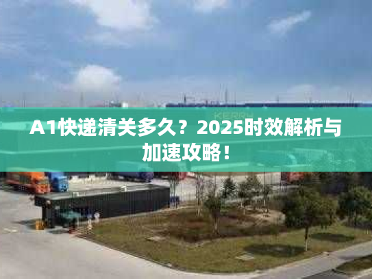 A1快递清关多久？2025时效解析与加速攻略！
