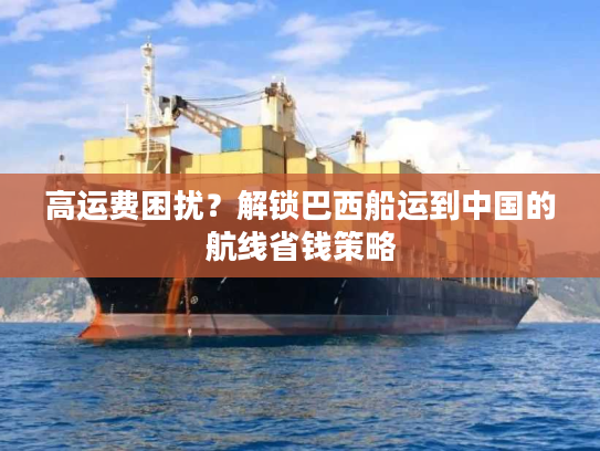 高运费困扰？解锁巴西船运到中国的航线省钱策略